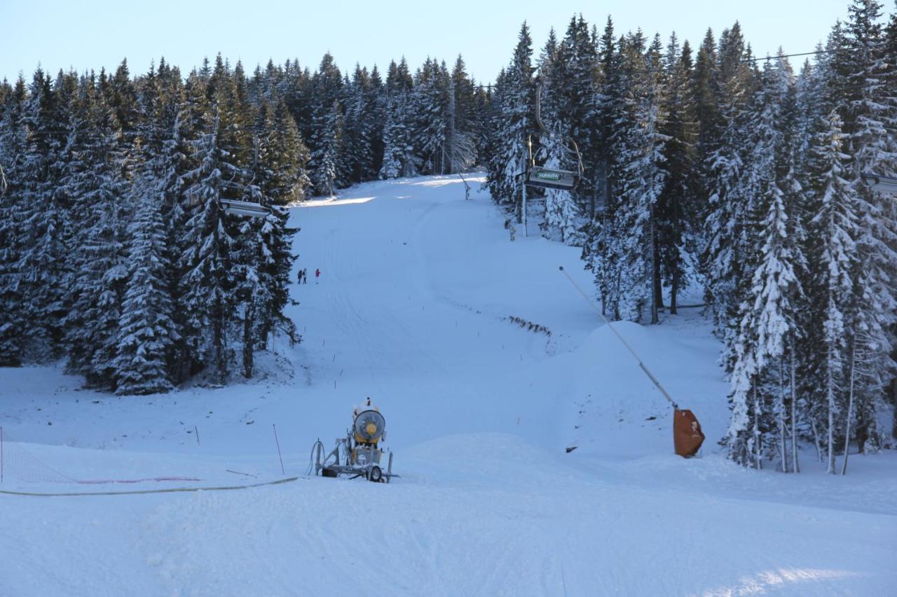 Kopaonik011 Konaci&Woodside Apartments Extérieur photo